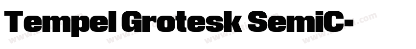 Tempel Grotesk SemiC字体转换